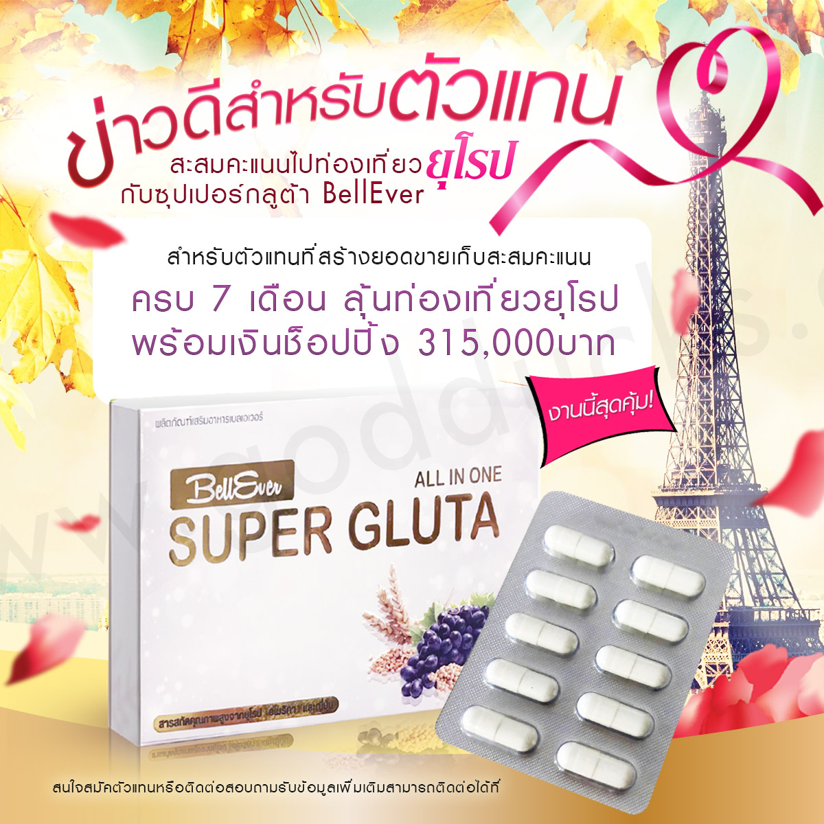 ผลงานการออกแบบ ตัวอย่างที่ 185