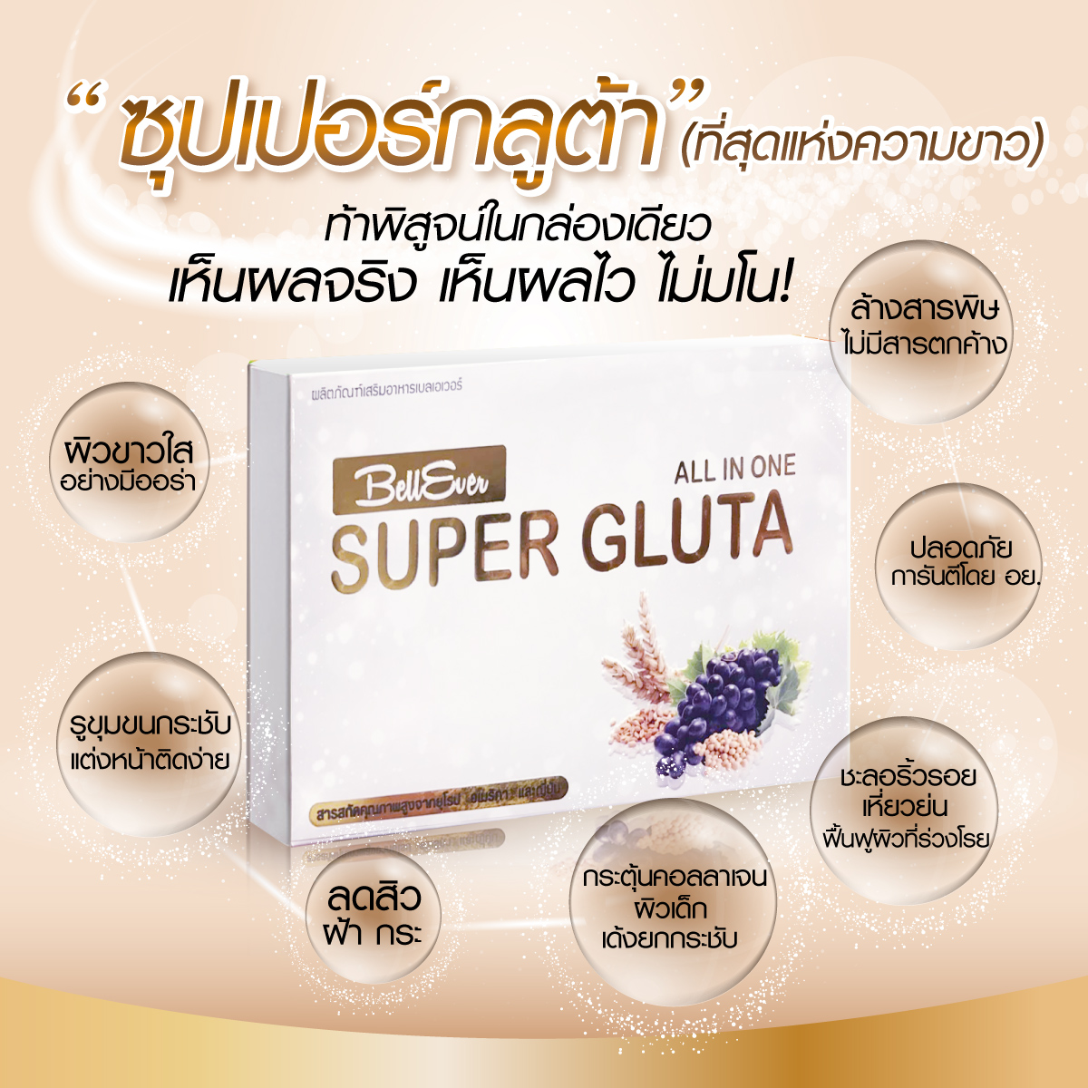ผลงานการออกแบบ ตัวอย่างที่ 186