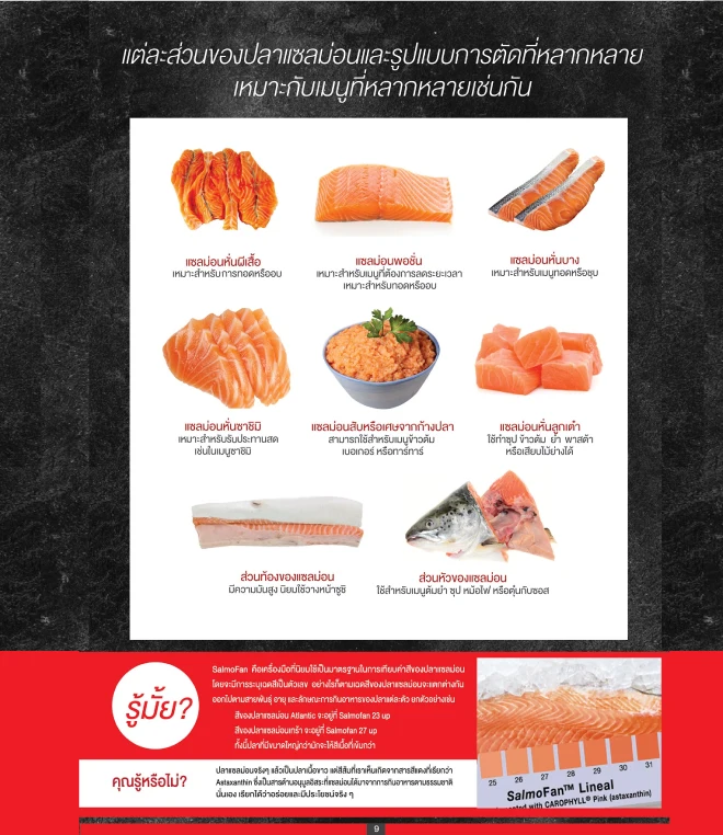 ผลงานการออกแบบ เว็บไซต์ ตัวอย่างที่ 306